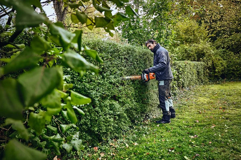 Stihl Akku-Heckenschere HSA 100 mit Akku AP20