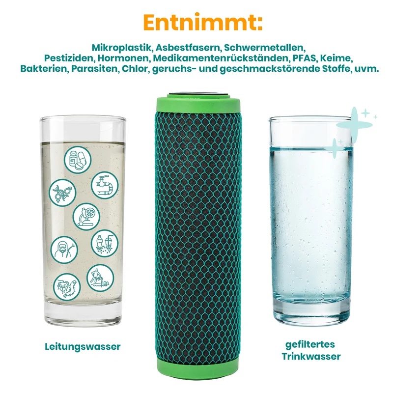 Carbonit GFP PREMIUM Filtereinsatz